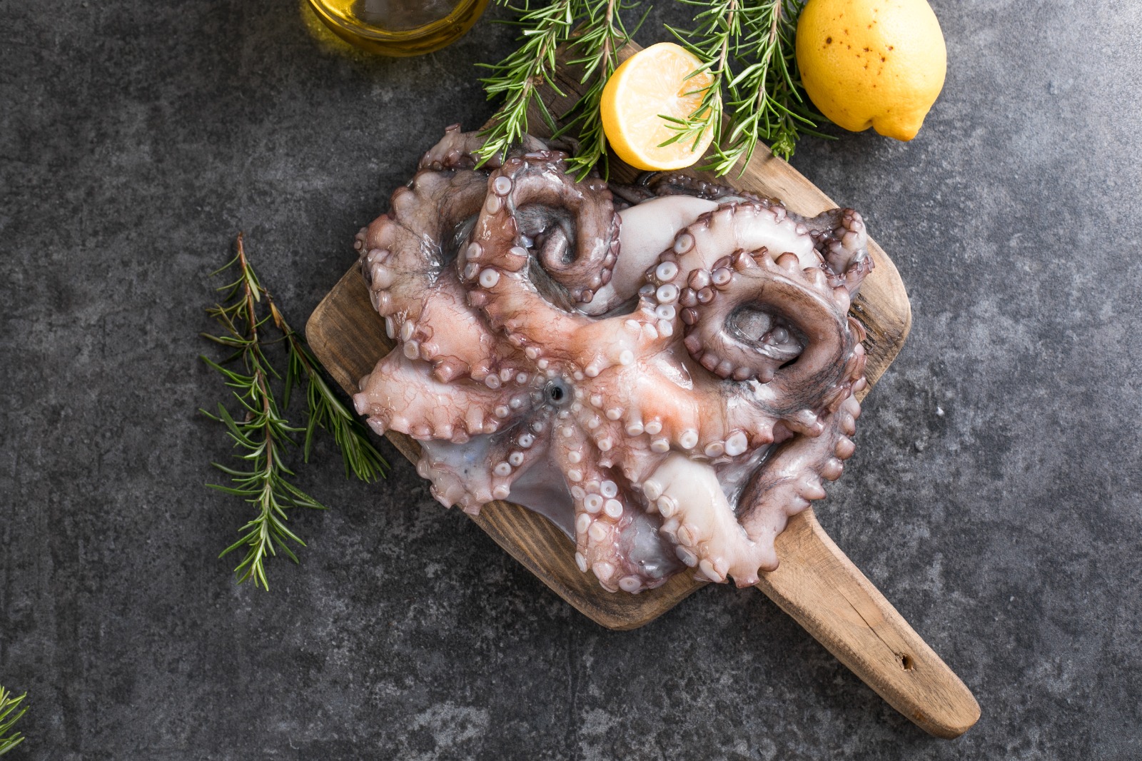 octopus